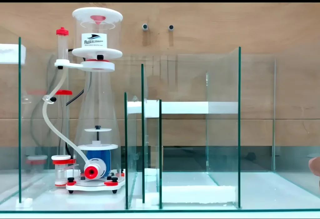Um aquário sendo montado e instalado um Skimmers de Venturi.