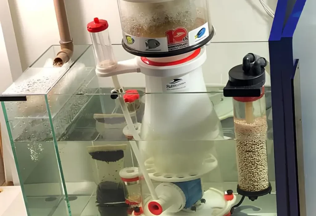 Um Aquário com Skimmers de Venturi .