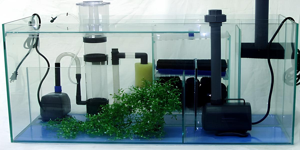 Um aquário com Skimmers de Venturi