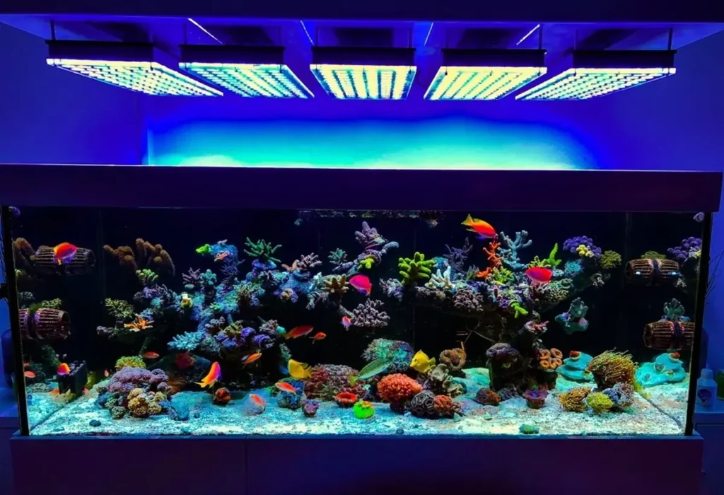 LED-Aquarium-lighting